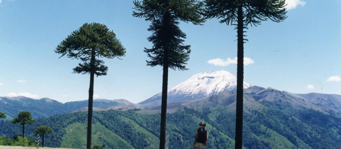 Cordillera las Raíces